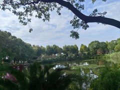 -金银湖国家城市湿地公园
