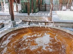 -春晖园度假酒店温泉