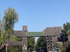 -溱湖国家湿地公园