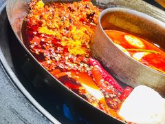 鸳鸯锅-洋马儿火锅(解放碑店)