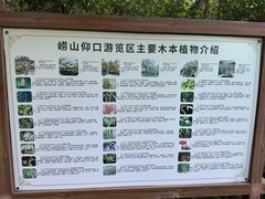 -崂山仰口游览区