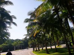 -三亚南山文化旅游区