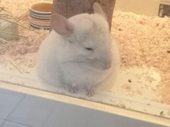 -龙猫仔乐园(惠福东路店)