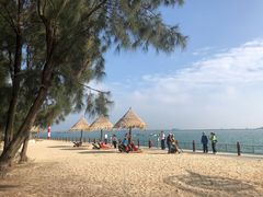 -北海金海湾红树林生态旅游区