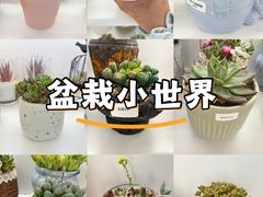 -巴黎春天(浦建店)