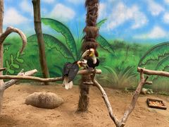 -杭州野生动物世界