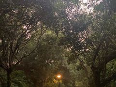 -燕晗山郊野公园