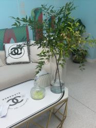 -斐尔国际皮肤管理中心