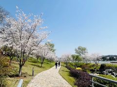 -羊山湖公园