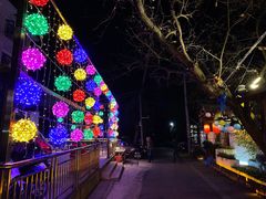 -张鸟园农家乐(张鸟园店)