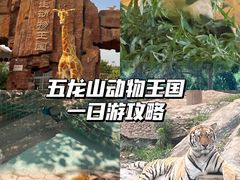 -五龙山野生动物王国