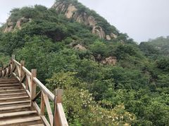 -大岭沟猕猴桃谷风景区