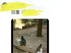 -昆明动物园