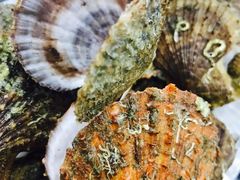 -瑞杰烧烤店·24小时营业(山东路店)