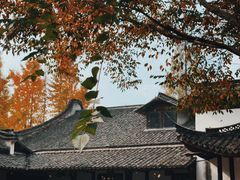 -乌镇西栅景区