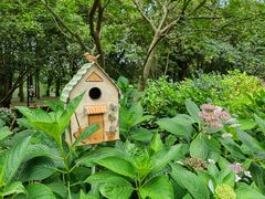 -上海共青森林公园