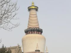 -张掖大佛寺景区