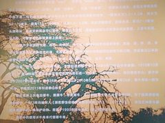-广东中医药博物馆