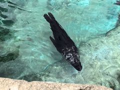 -珠海长隆海洋王国