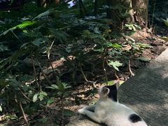 -武当山风景区