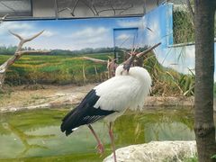 -成都动物园