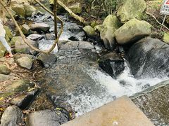 -马峦山郊野公园