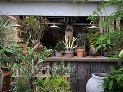 -自由生长植物工作室(深港花卉中心店)