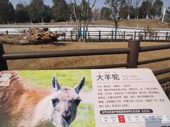 -武汉动物园