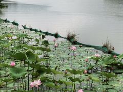 -湘湖大院(越王路店)