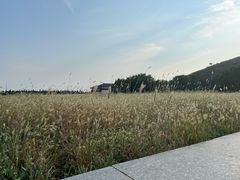 -汉景帝阳陵博物院