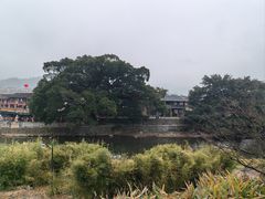 -福建土楼(南靖)景区