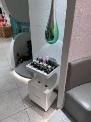 -薇薇安花系SPA