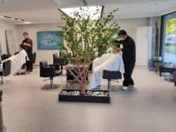 -付军剪艺JF ProSalon