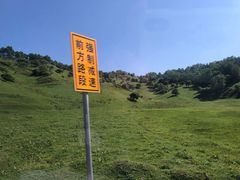 -关山草原