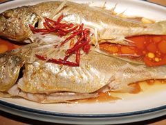 -波螺油子·海肠捞饭·青岛菜(银座店)