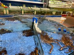 -厨房好味(滨江店)