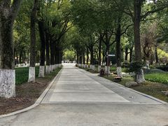 -上海鲜花港