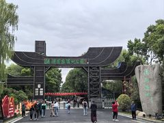 -溱湖国家湿地公园