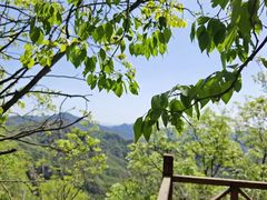 -大岭沟猕猴桃谷风景区