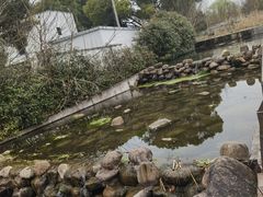 -同里国家湿地公园