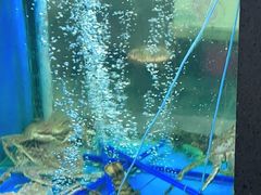 -鲜味食族水产·海鲜餐厅
