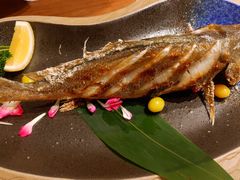-熹炭精致日料(金融街购物中心店)