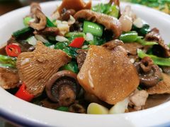 枞菌炒肉-斗鱼岛酒店(新化白溪店)