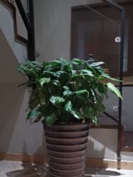 -香秀空间科技抗衰·美容中心