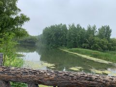 -昆山城市生态森林公园