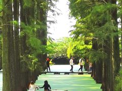 -渌洋湖湿地公园
