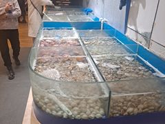 -凯悦·东方公主号 全球海鲜自助餐厅(凯丹广场店)