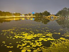 -长春市南湖公园