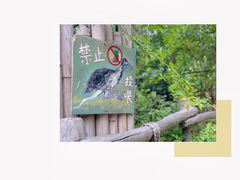 -红山森林动物园