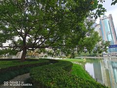 -陆家嘴中心绿地